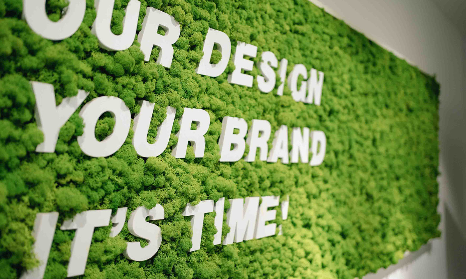 089e1c50767b8971ccef2c8cea382804