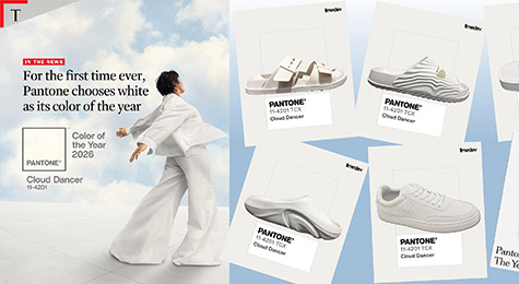 Pantone2026年度色