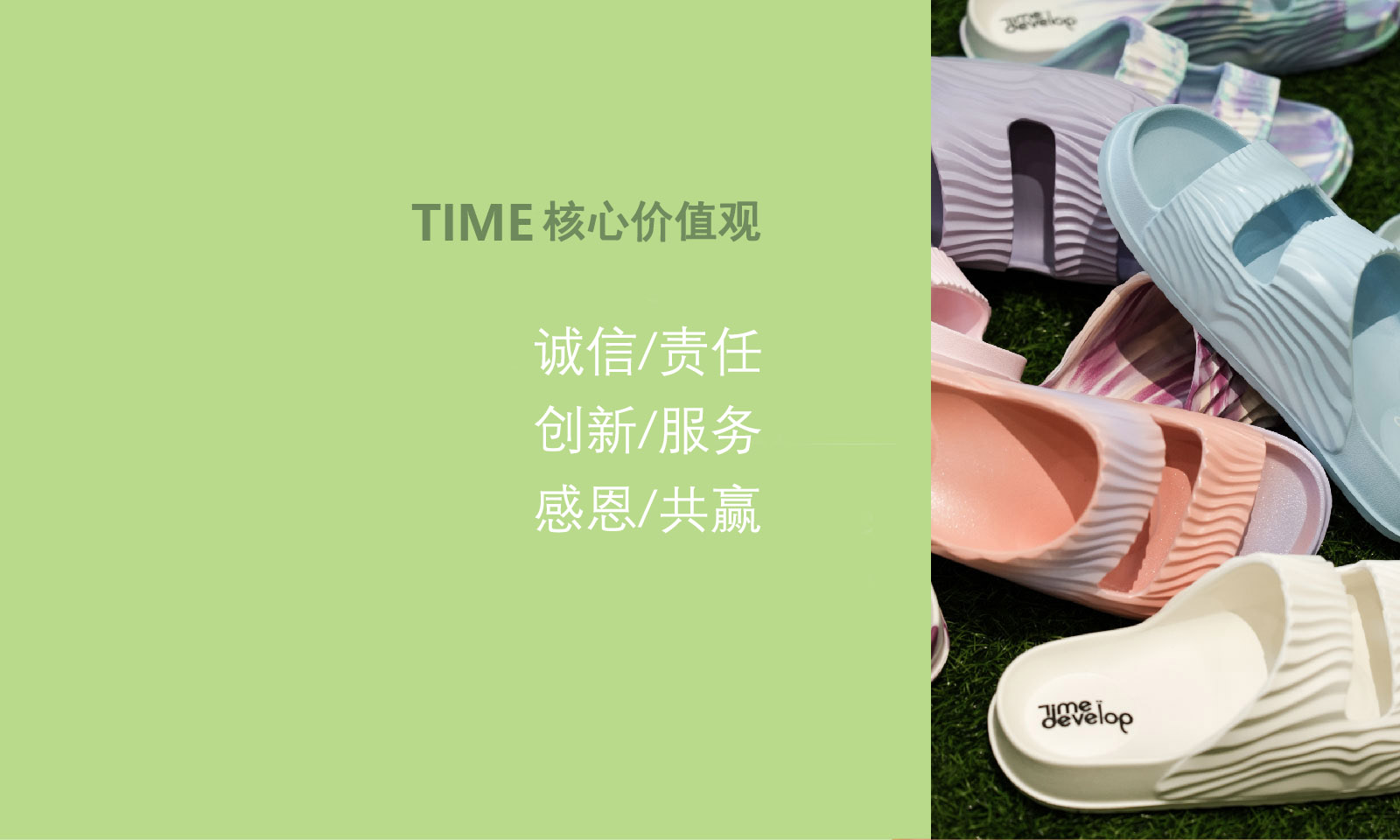 1db4419a7c366a40fec361522ccccaf5